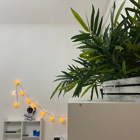 Peterpan توري دل غريكو